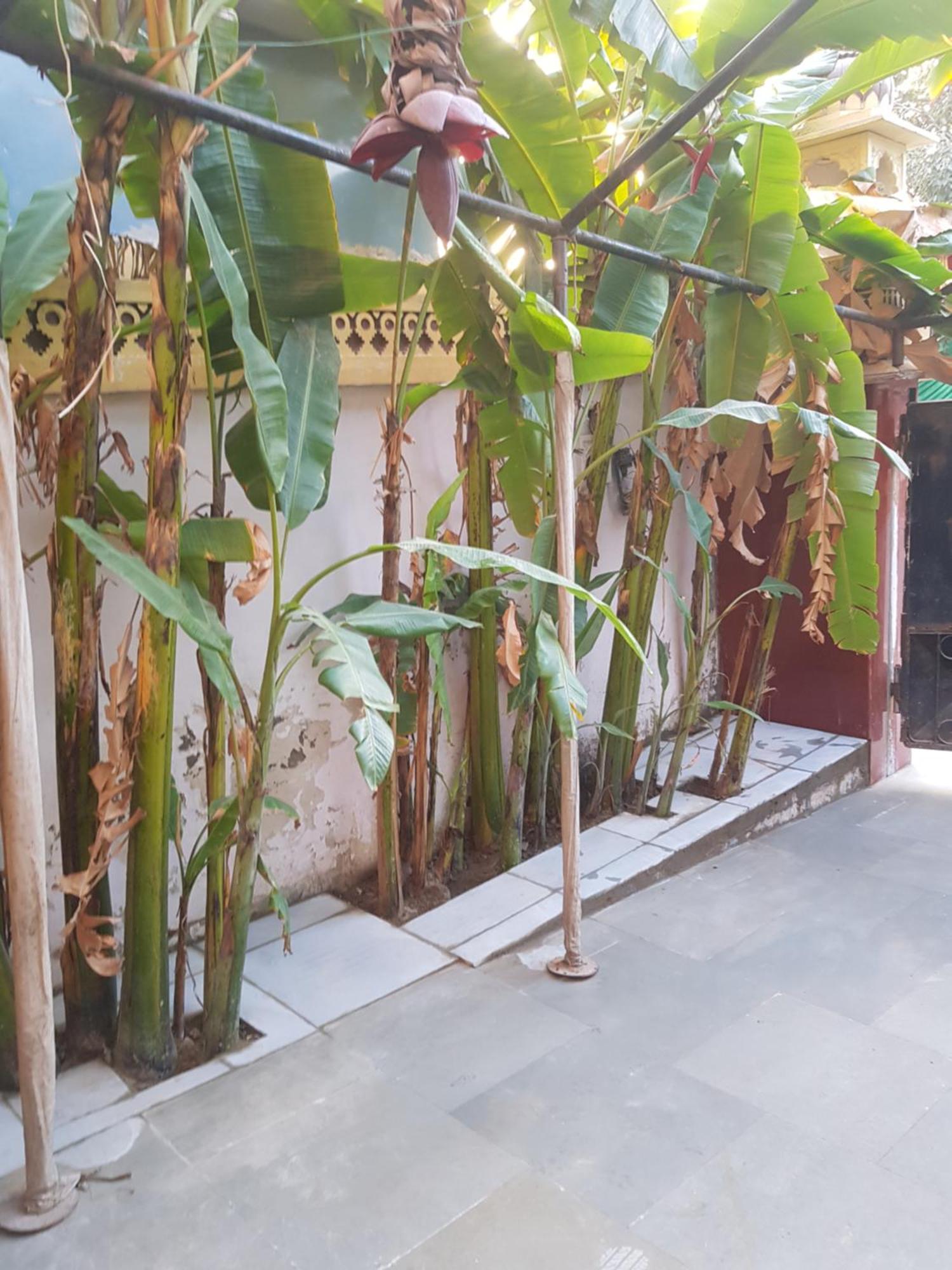 Sureli Haveli Apartman Dzsaipur Szoba fotó